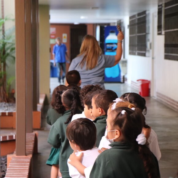 Académico Académico